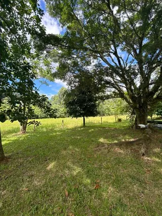 Área rural com 4 dormitórios, foto 24