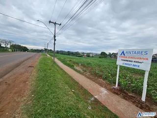 Terreno, foto 3
