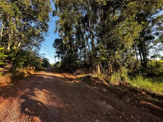 Área rural com 3 dormitórios, foto 48