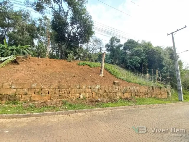 Terreno, foto 3