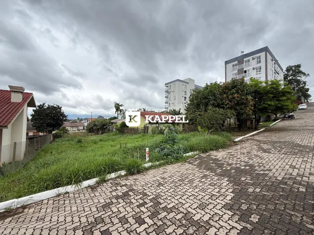 Vista externa de uma rua pavimentada com vegetação ao fundo.