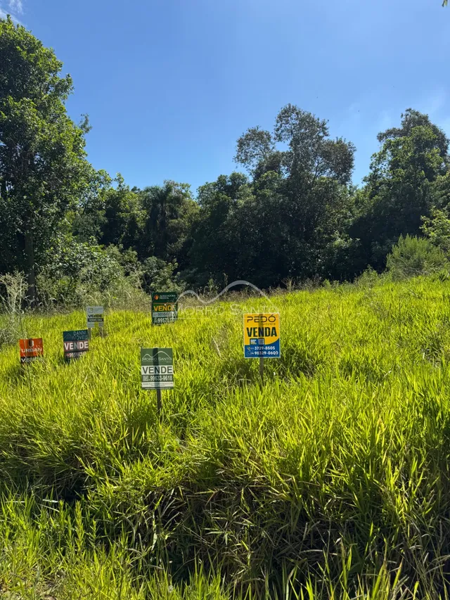 Vista externa de um terreno com grama alta e vegetação densa sob um céu azul.