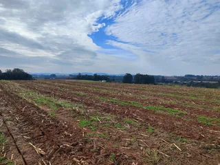 Terreno, foto 11