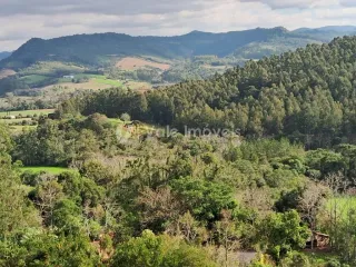 Área rural com 2 dormitórios, foto 11
