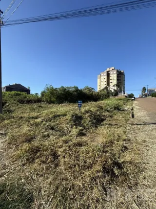 Terreno, foto 2