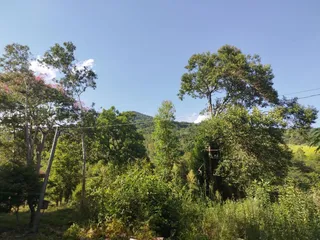 Área rural, foto 3