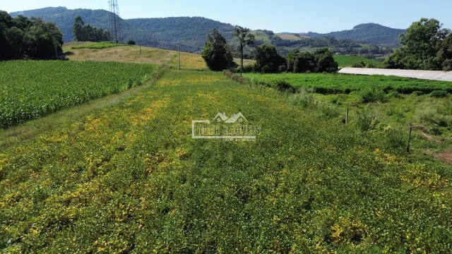 Área rural, foto 3