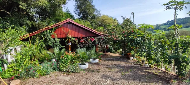 Foto de uma área externa com vegetação densa e uma estrutura de madeira rústica.
