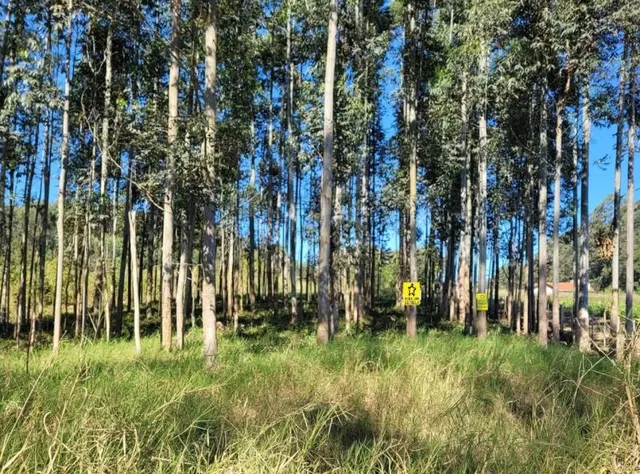 Área rural