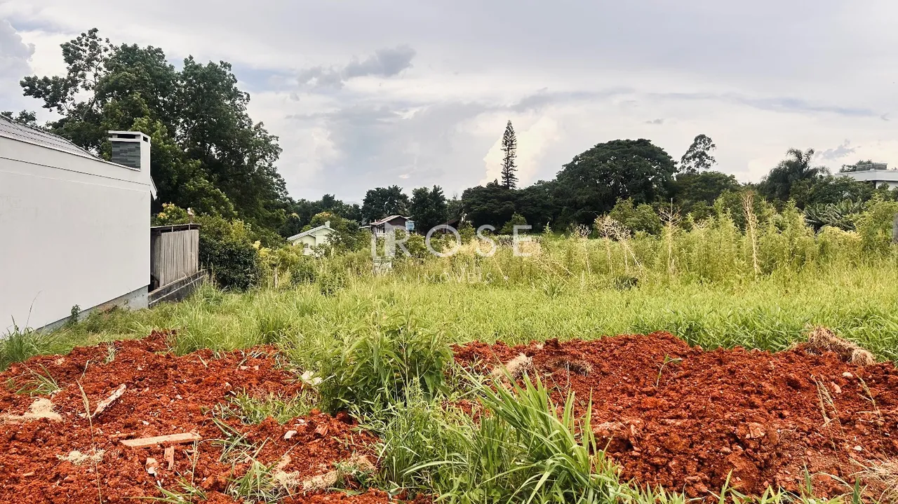 Terreno, foto 1