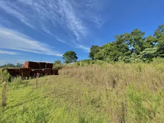 Uma paisagem de campo com vegetação alta e pilhas de tijolos vermelhos.