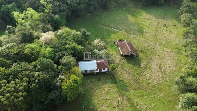 Área rural
