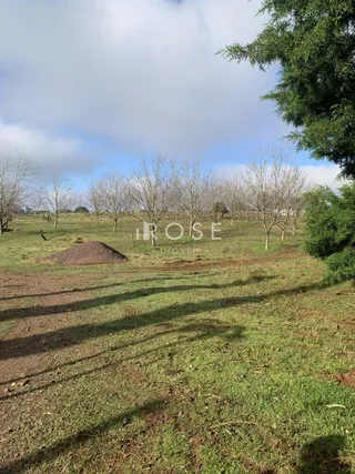 Terreno, foto 4