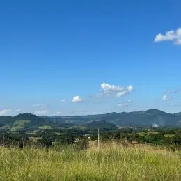 Terreno, foto 14