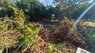 Terreno, foto 1