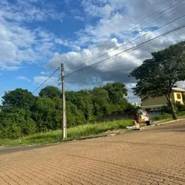 Vista da rua com vegetação e árvores ao fundo.