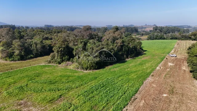 Vista aérea de campos verdes e vegetação em uma propriedade em Lajeado, Brasil.