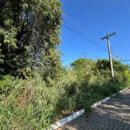 Terreno, foto 7