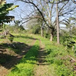 Área rural, foto 4