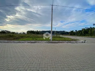 Vista externa de uma propriedade com vegetação e pavimento.