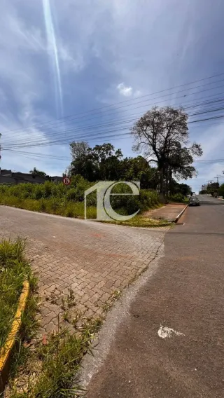Terreno, foto 3