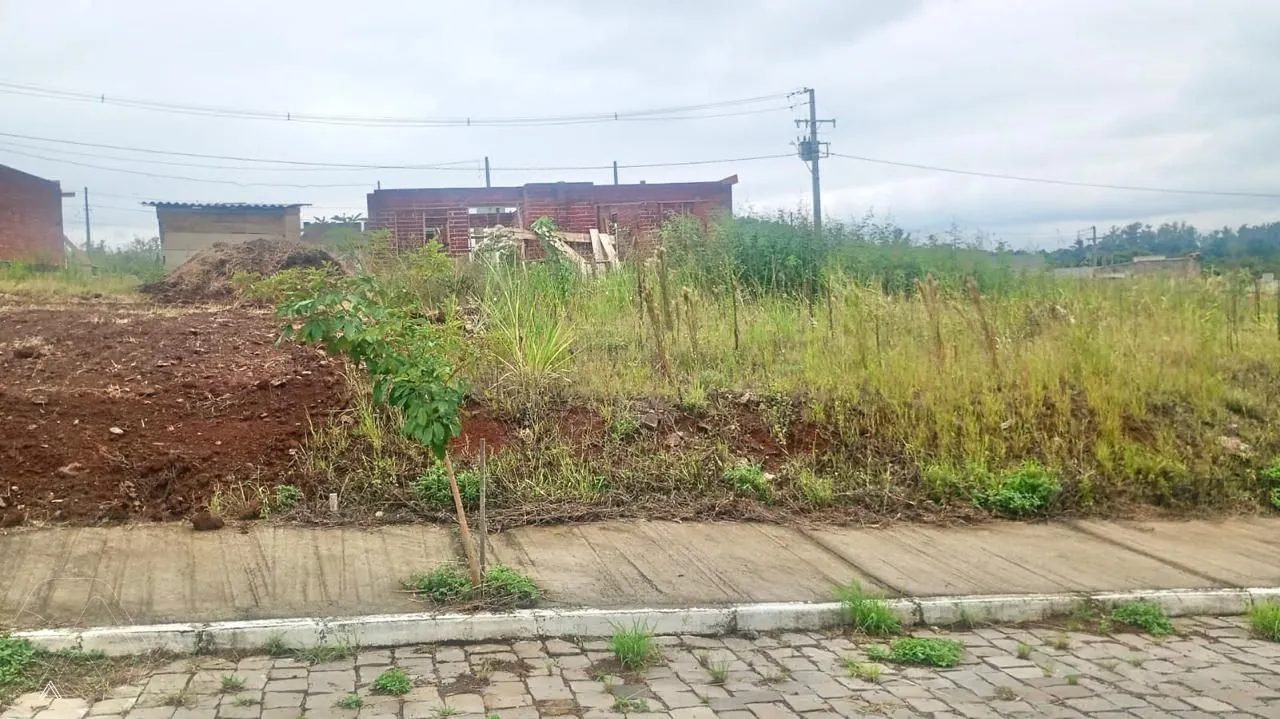 Terreno, foto 1