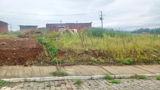 Terreno