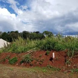 Terreno, foto 3