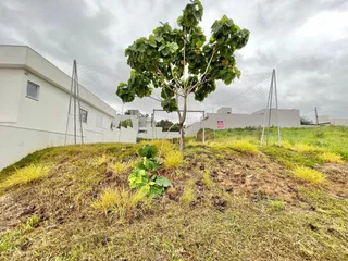Terreno, foto 1