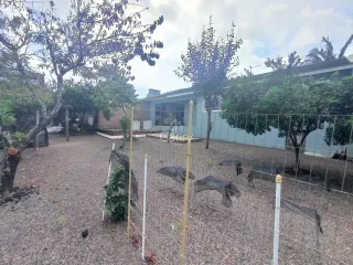 Casa com 3 dormitórios, foto 20