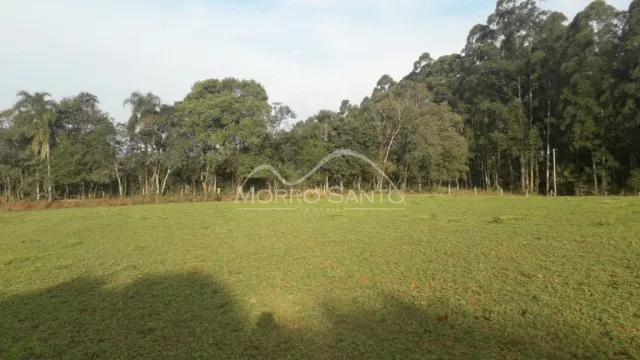 Vista aérea de um campo aberto com vegetação verde no exterior de uma propriedade.