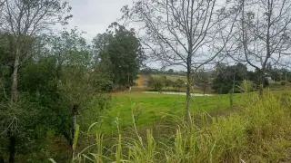 Casa com 4 dormitórios, foto 10
