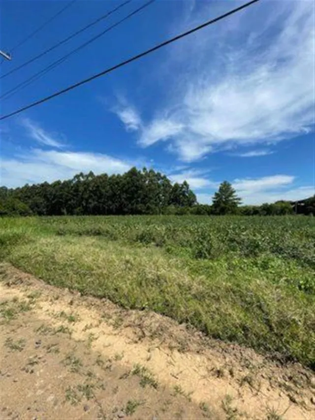 Área rural, foto 4
