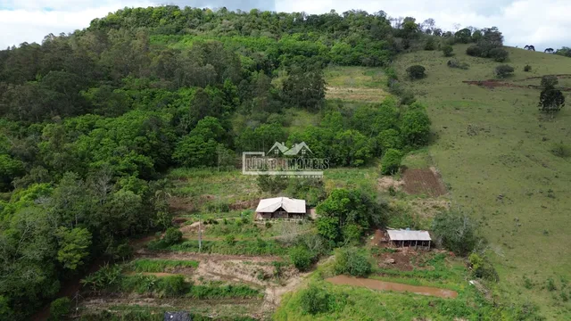 Vista aérea de uma propriedade com vegetação densa e colinas verdes.