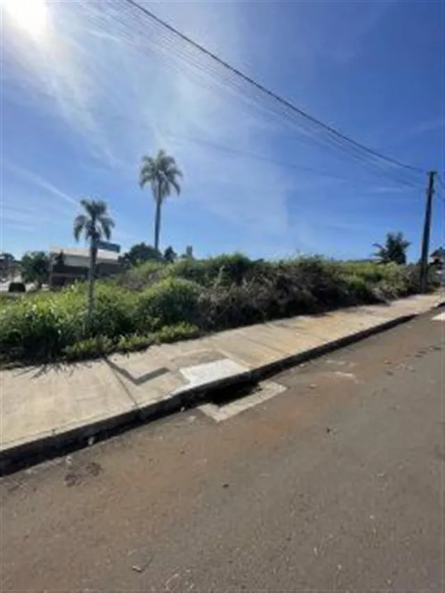 Terreno, foto 3