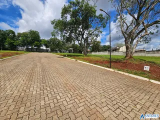 Terreno, foto 6