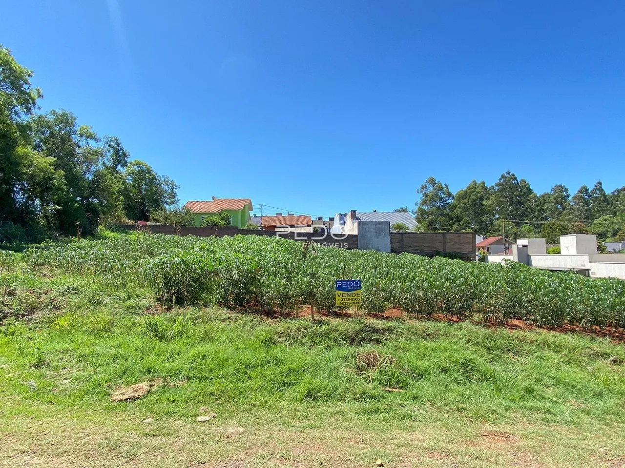 Vista da propriedade com vegetação e terreno gramado no primeiro plano.