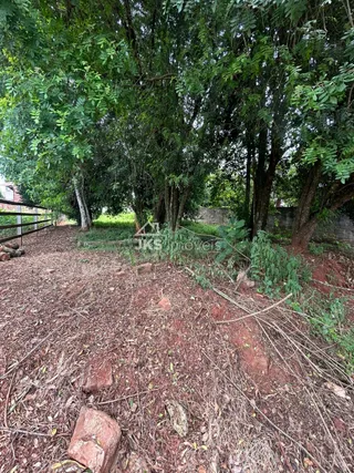 Terreno, foto 4