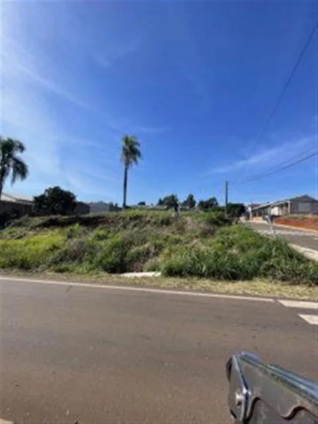 Terreno, foto 2