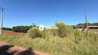 Vista externa de uma área com vegetação alta sob céu azul.