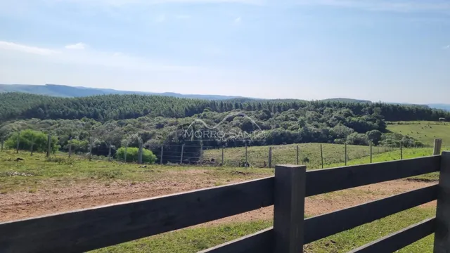 Vista de uma paisagem rural com campo aberto e vegetação densa ao fundo.
