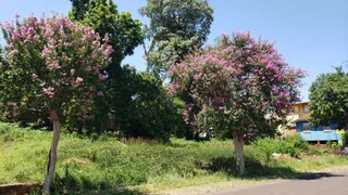 Vista externa mostrando árvores floridas e vegetação exuberante na propriedade.