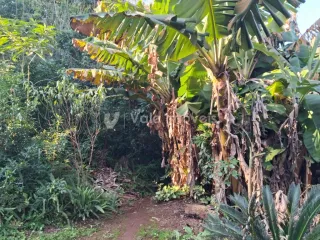 Área rural, foto 9