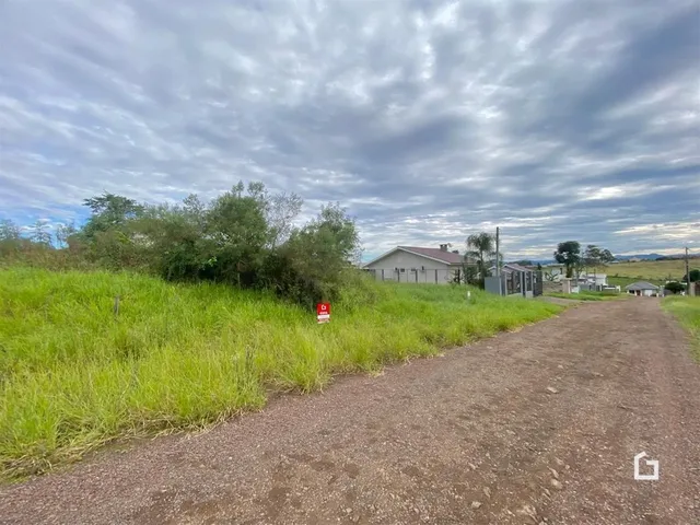 Paisagem rural com campo gramado e estrada de terra em Lajeado.