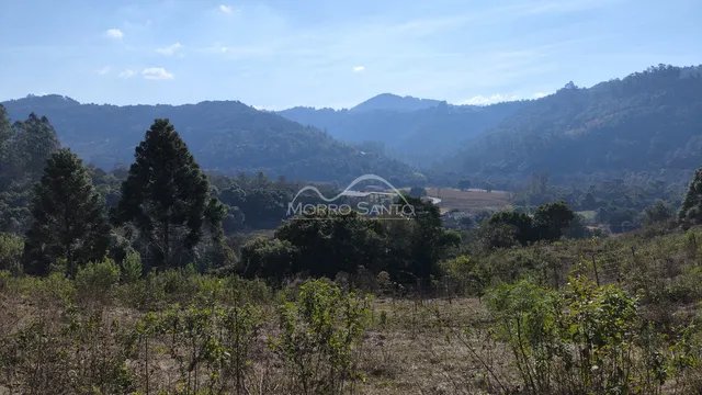 Vista panorâmica de colinas arborizadas no interior de Lajeado, Brasil.