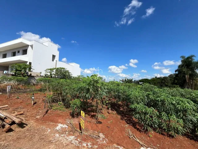 Terreno, foto 4