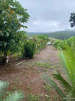 Área rural, foto 4
