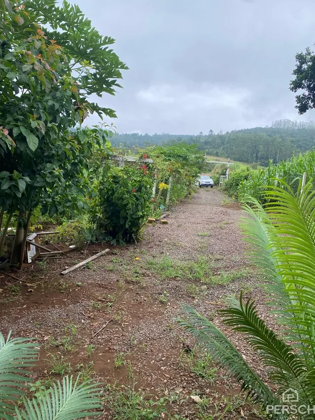 Área rural, foto 4