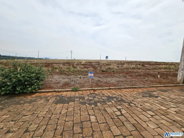 Vista de um terreno aberto com vegetação seca e um pátio pavimentado.