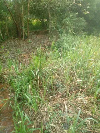 Área rural, foto 7